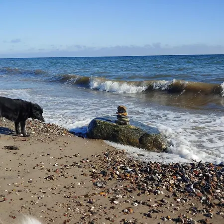 Ferrymans Stuv, Chillen An Der Ostsee, Wlan, Hunde Kostenfrei, Wallbox Am Haus Apartment